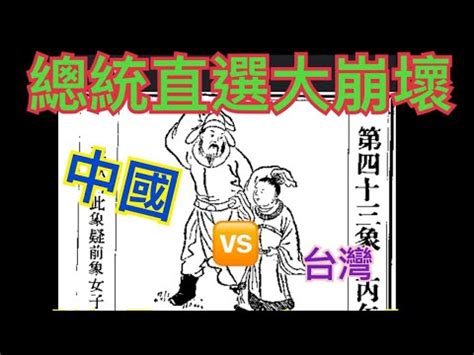 黑兔走進青龍穴|黑兔走入青龍穴，為台灣卜一卦 